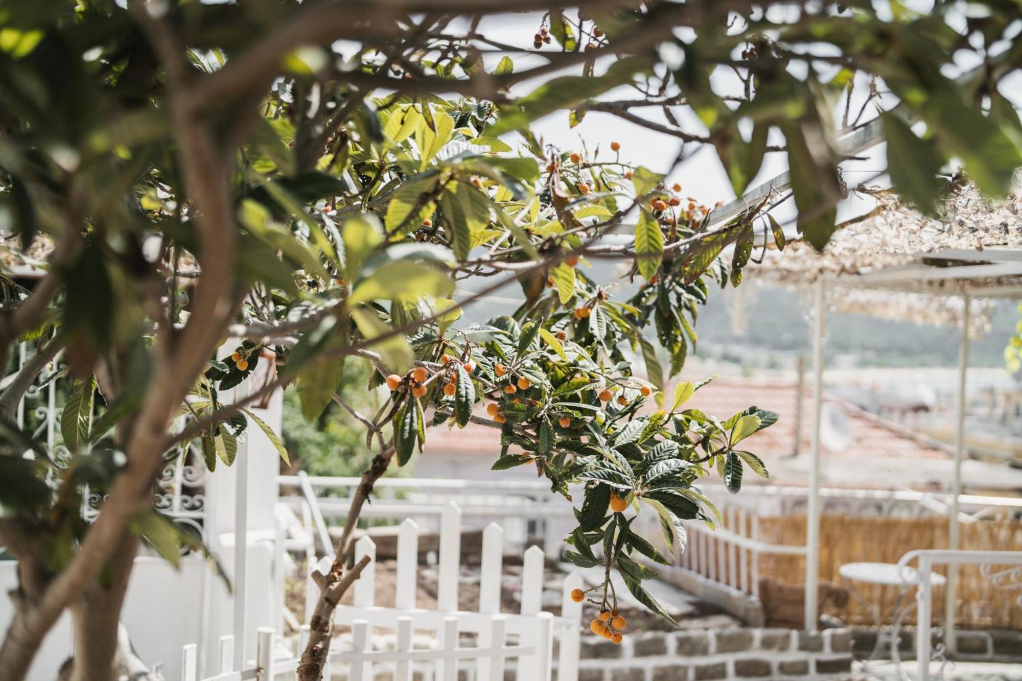 Appartement The Garden House à Kavala Extérieur photo