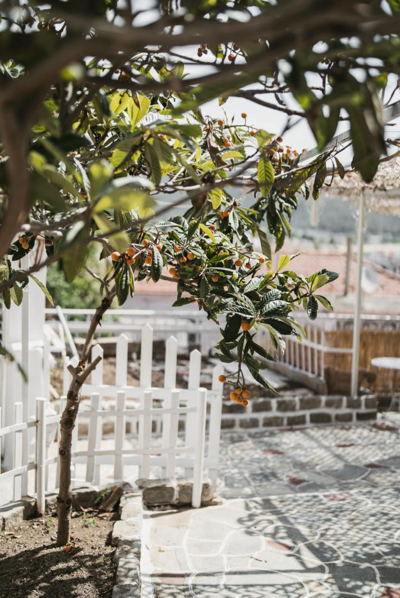 Appartement The Garden House à Kavala Extérieur photo